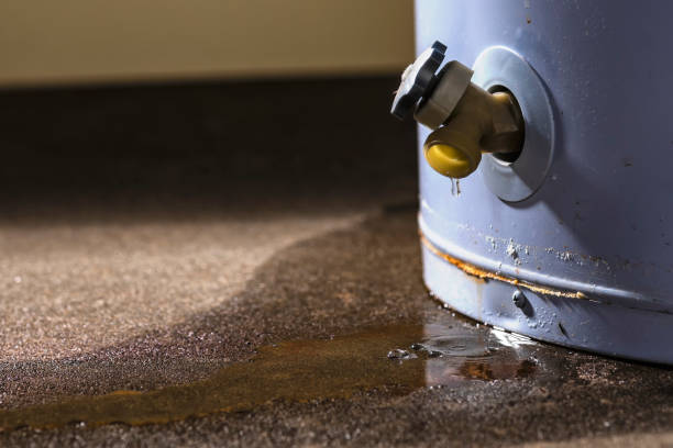Best Emergency water damage restoration  in New Athens, IL