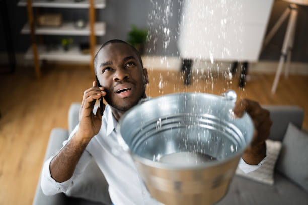 Best Professional water damage repair  in New Athens, IL