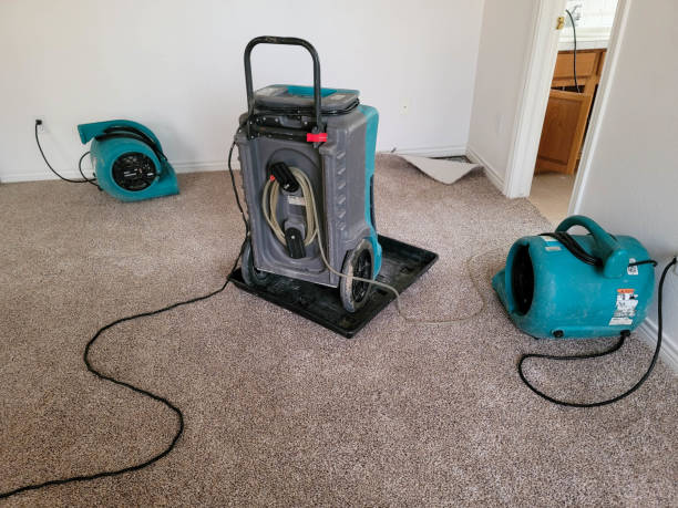 New Athens, IL Water damage restoration Company