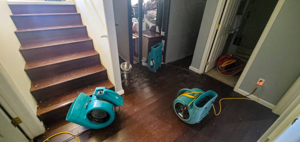 Best 24/7 water damage repair  in New Athens, IL