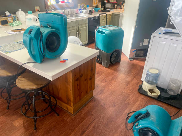 Best Residential water damage restoration  in New Athens, IL