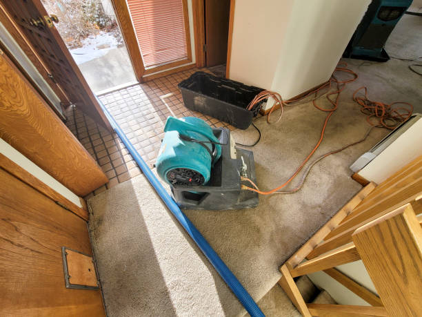 Sewage cleanup and water damage restoration in New Athens, IL