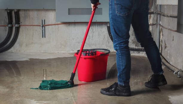 Best Fire Damage Restoration  in New Athens, IL