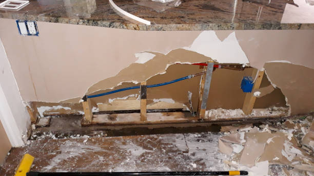 Best Ceiling water damage repair  in New Athens, IL