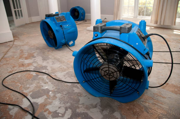 Best Water damage contractors near me  in New Athens, IL