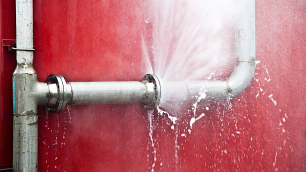 Best Carpet water damage restoration  in New Athens, IL